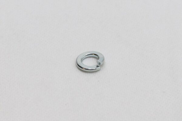 Art. 1513 Federring B8(shop).JPG